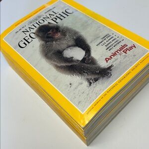 National Geographic 12 Issue Lot (Year 1994)